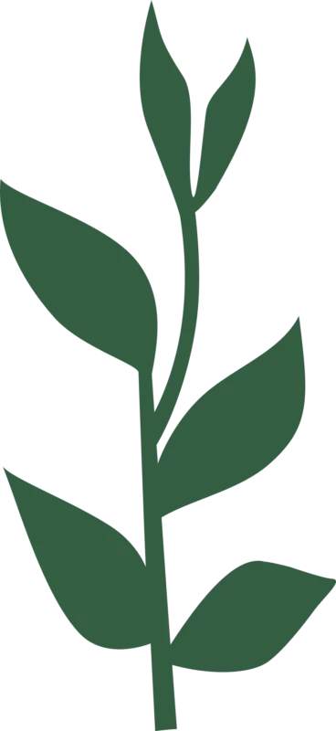 Jardinier paysagiste à Neuilly sur seine croissance plante Jardeco Neuilly. Jardinage créatif